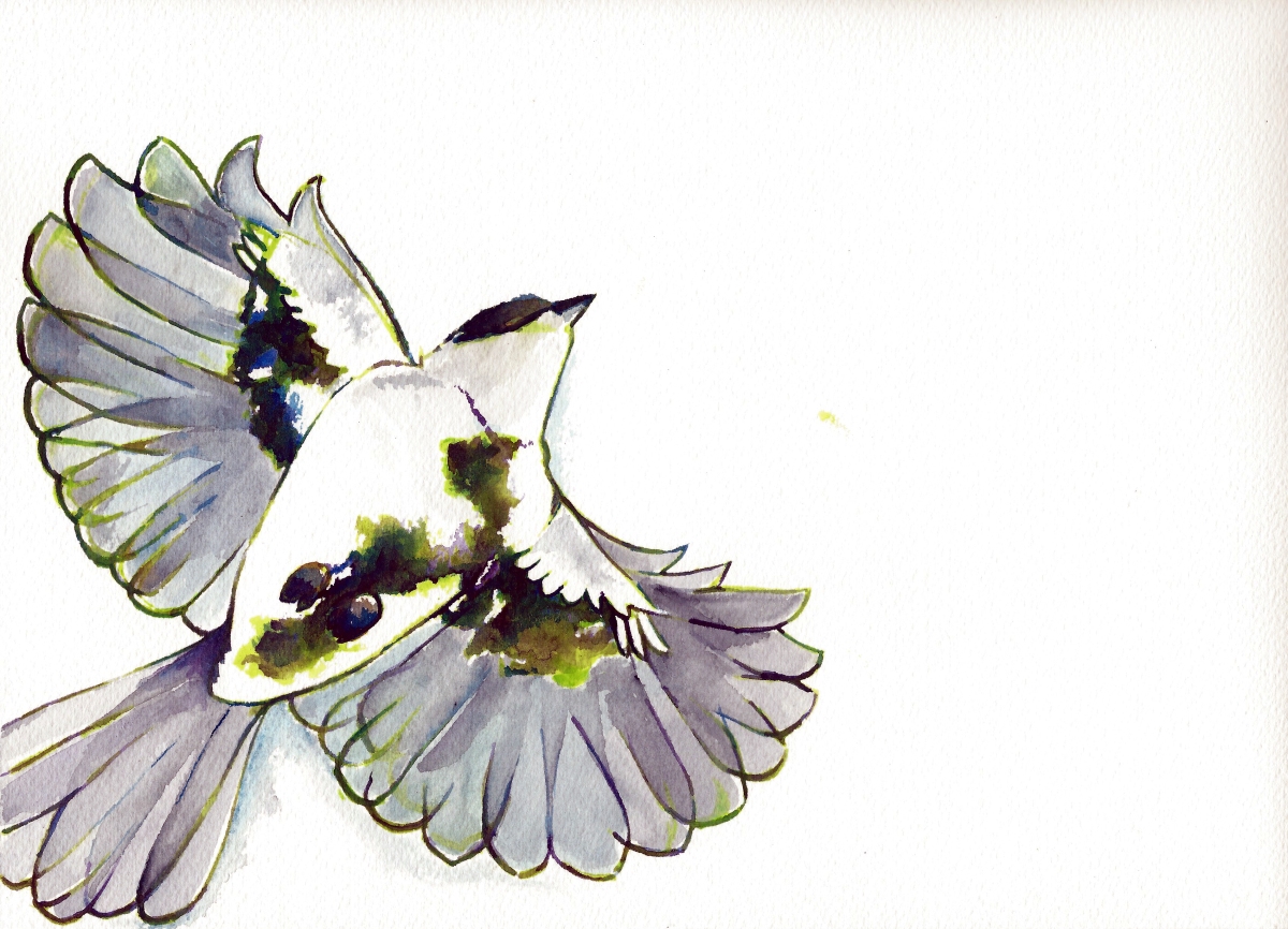 Watercolor and birds
